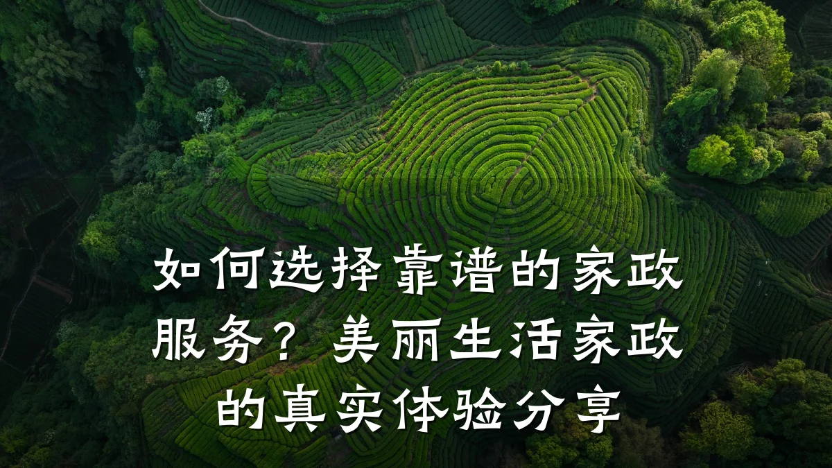 如何选择靠谱的家政服务？美丽生活家政的真实体验分享