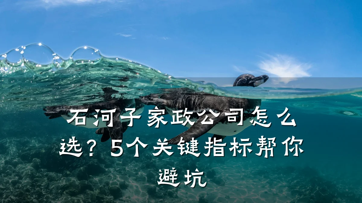 石河子家政公司怎么选?5个关键指标帮你避坑