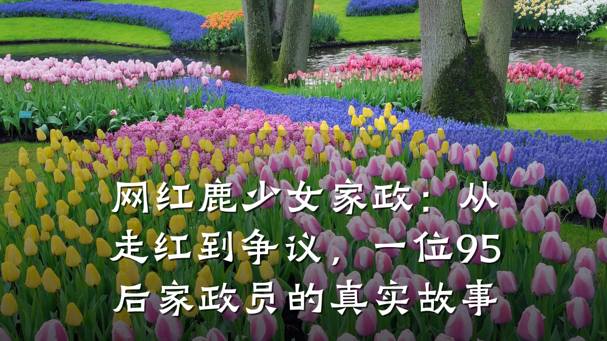 网红鹿少女家政：从走红到争议，一位95后家政员的真实故事