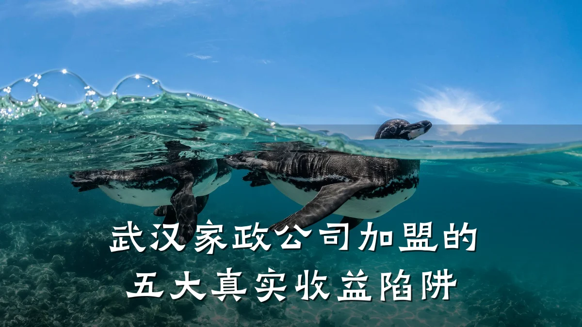 武汉家政公司加盟的五大真实收益陷阱
