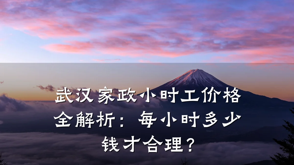 武汉家政小时工价格全解析：每小时多少钱才合理？