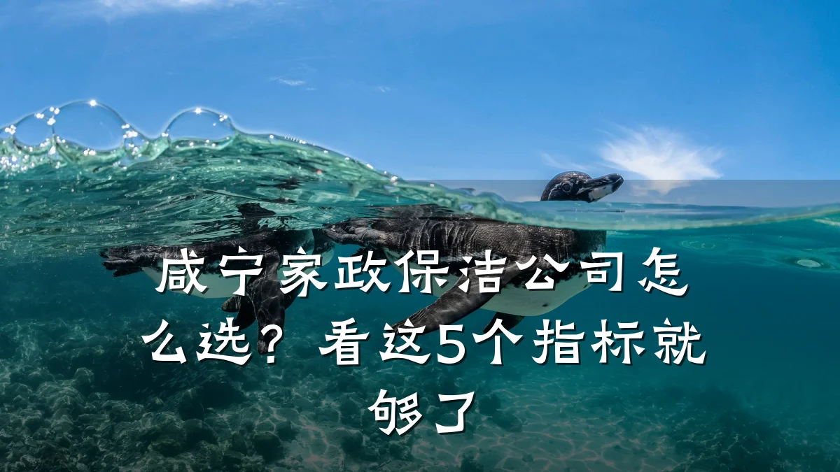 咸宁家政保洁公司怎么选？看这5个指标就够了