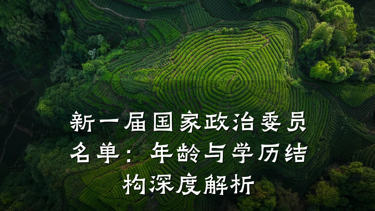 新一届国家政治委员名单:年龄与学历结构深度解析