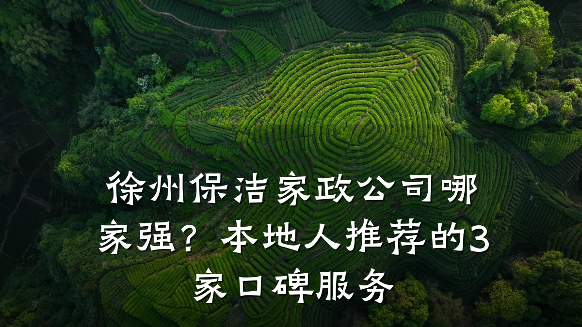 徐州保洁家政公司哪家强?本地人推荐的3家口碑服务