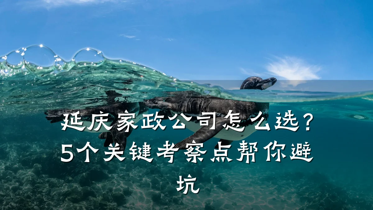 延庆家政公司怎么选?5个关键考察点帮你避坑