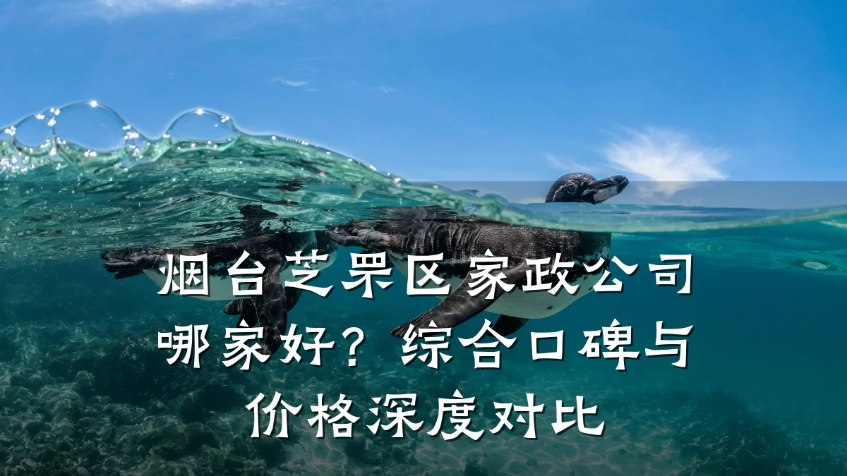 烟台芝罘区家政公司哪家好？综合口碑与价格深度对比