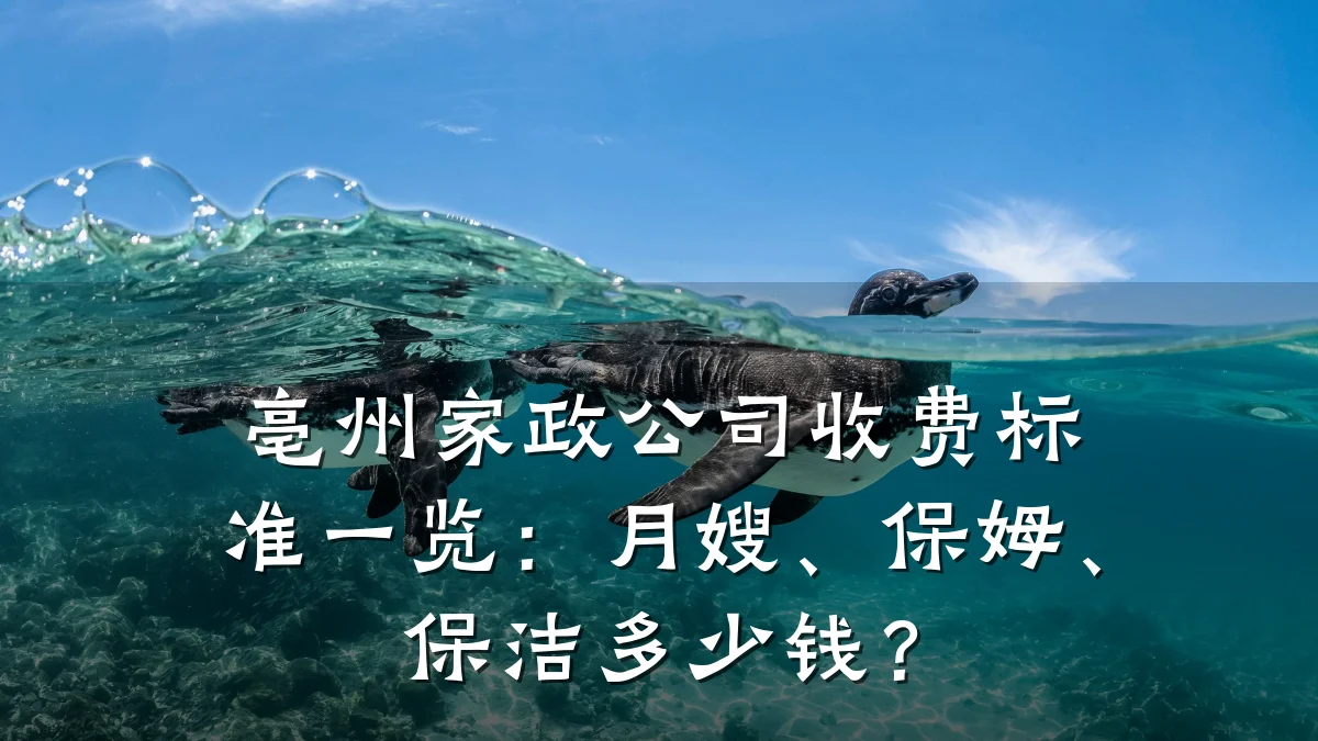 亳州家政公司收费标准一览:月嫂、保姆、保洁多少钱?