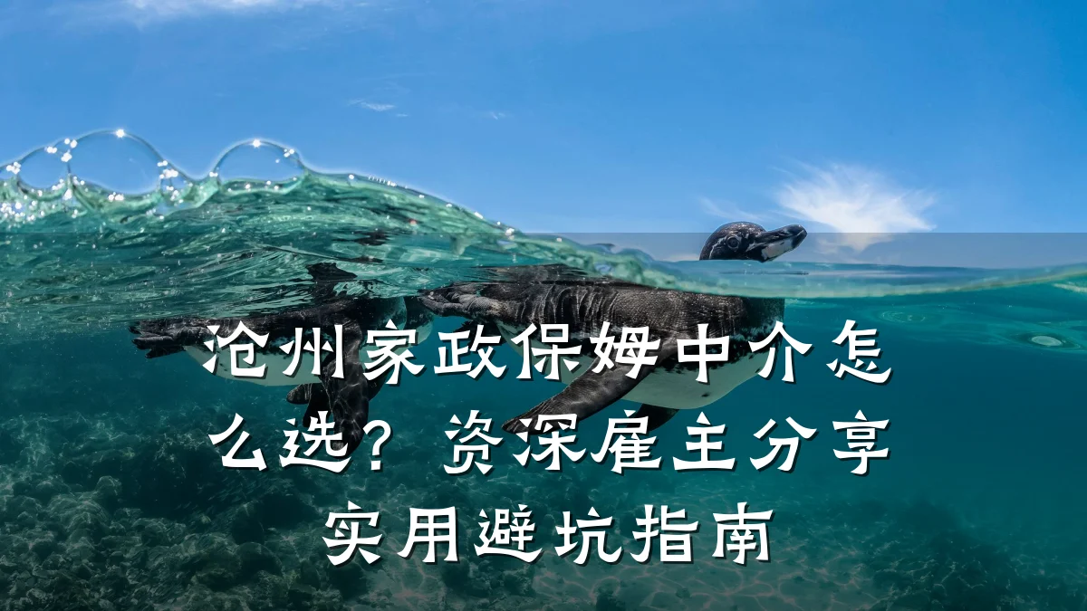 沧州家政保姆中介怎么选?资深雇主分享实用避坑指南