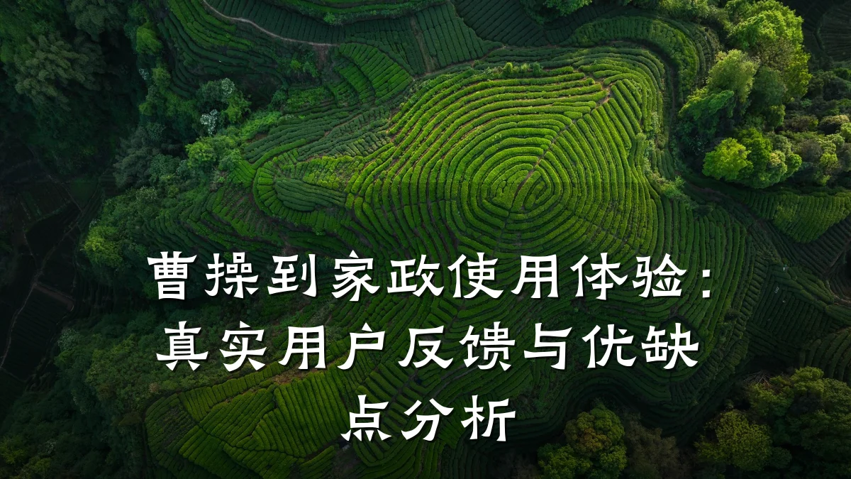 曹操到家政使用体验:真实用户反馈与优缺点分析