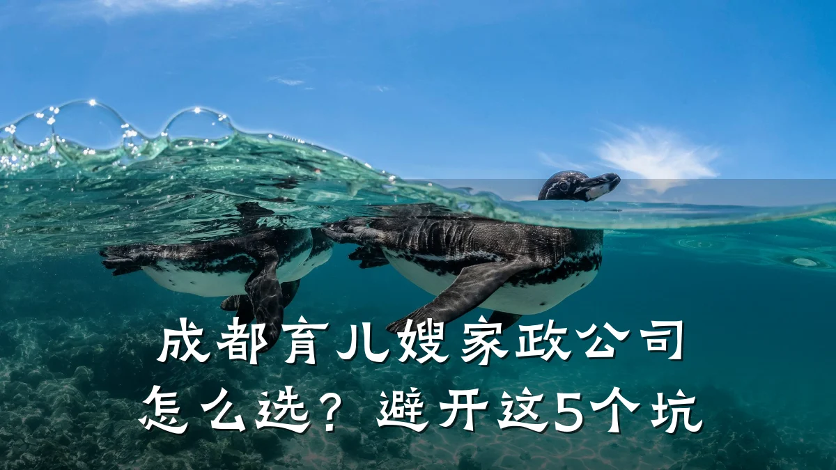成都育儿嫂家政公司怎么选?避开这5个坑