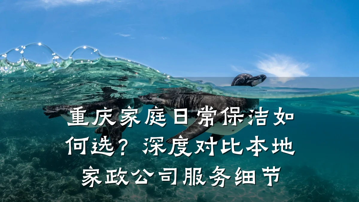 重庆家庭日常保洁如何选?深度对比本地家政公司服务细节