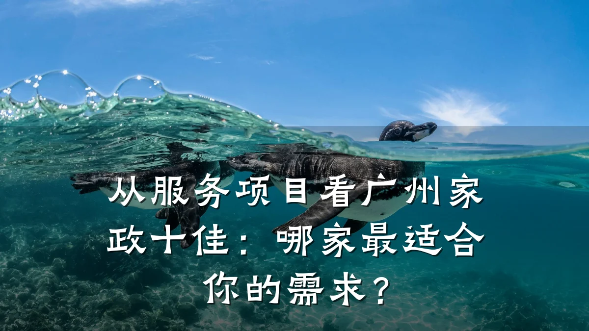 从服务项目看广州家政十佳:哪家最适合你的需求?