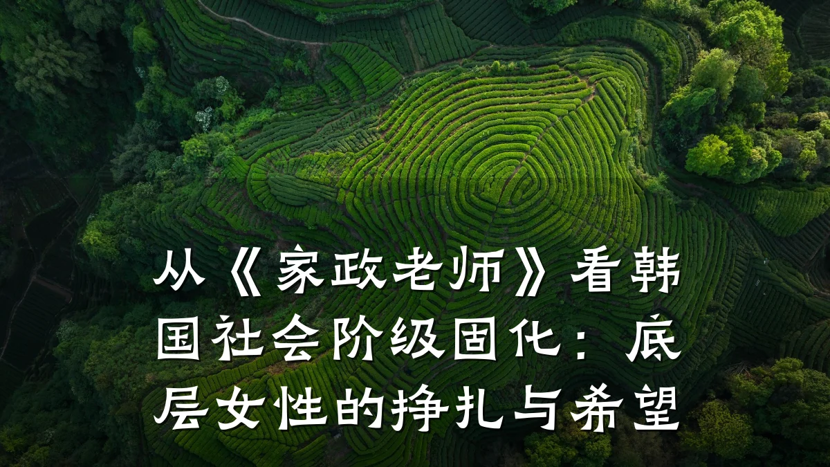 从《家政老师》看韩国社会阶级固化：底层女性的挣扎与希望