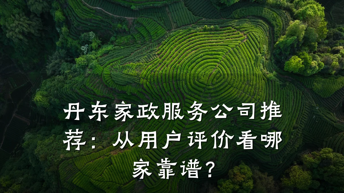 丹东家政服务公司推荐:从用户评价看哪家靠谱?