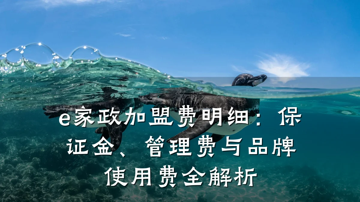 e家政加盟费明细:保证金、管理费与品牌使用费全解析
