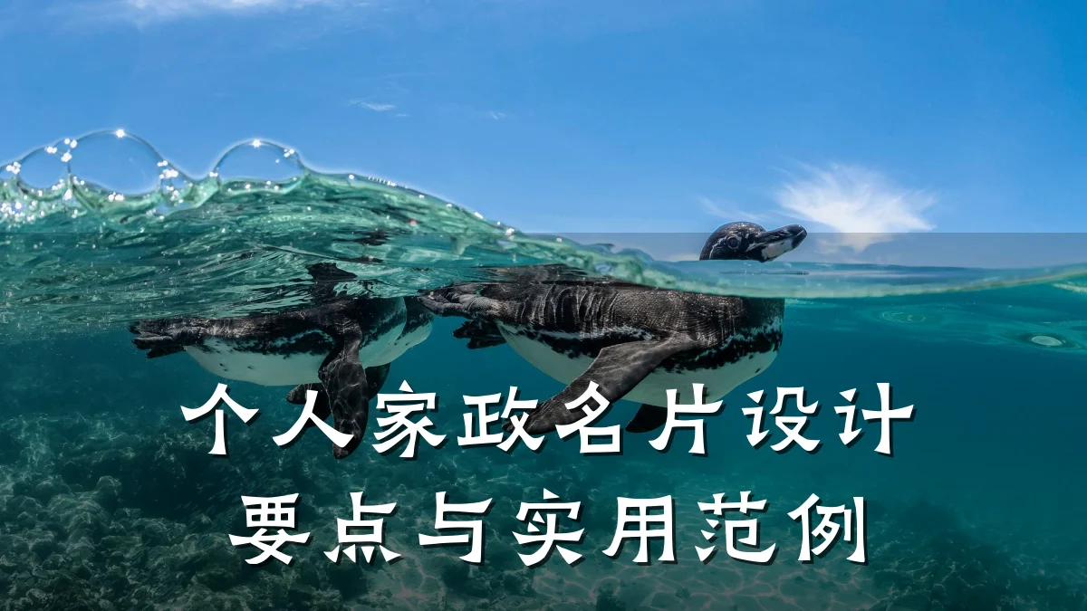 个人家政名片设计要点与实用范例