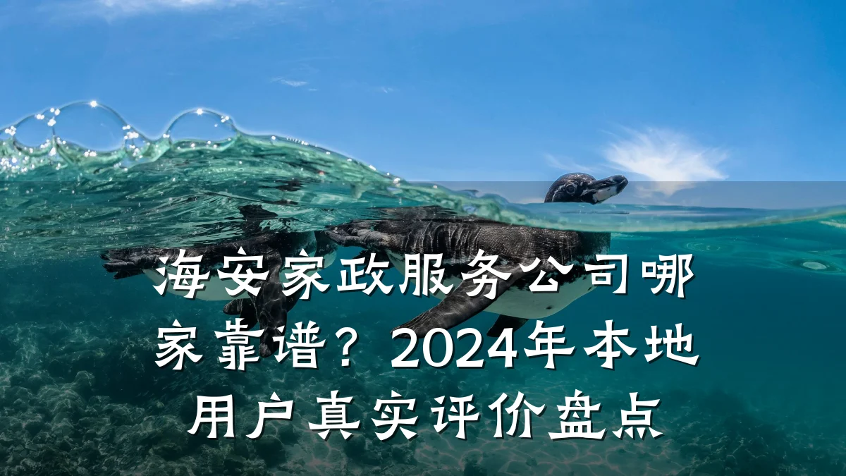 海安家政服务公司哪家靠谱?2024年本地用户真实评价盘点