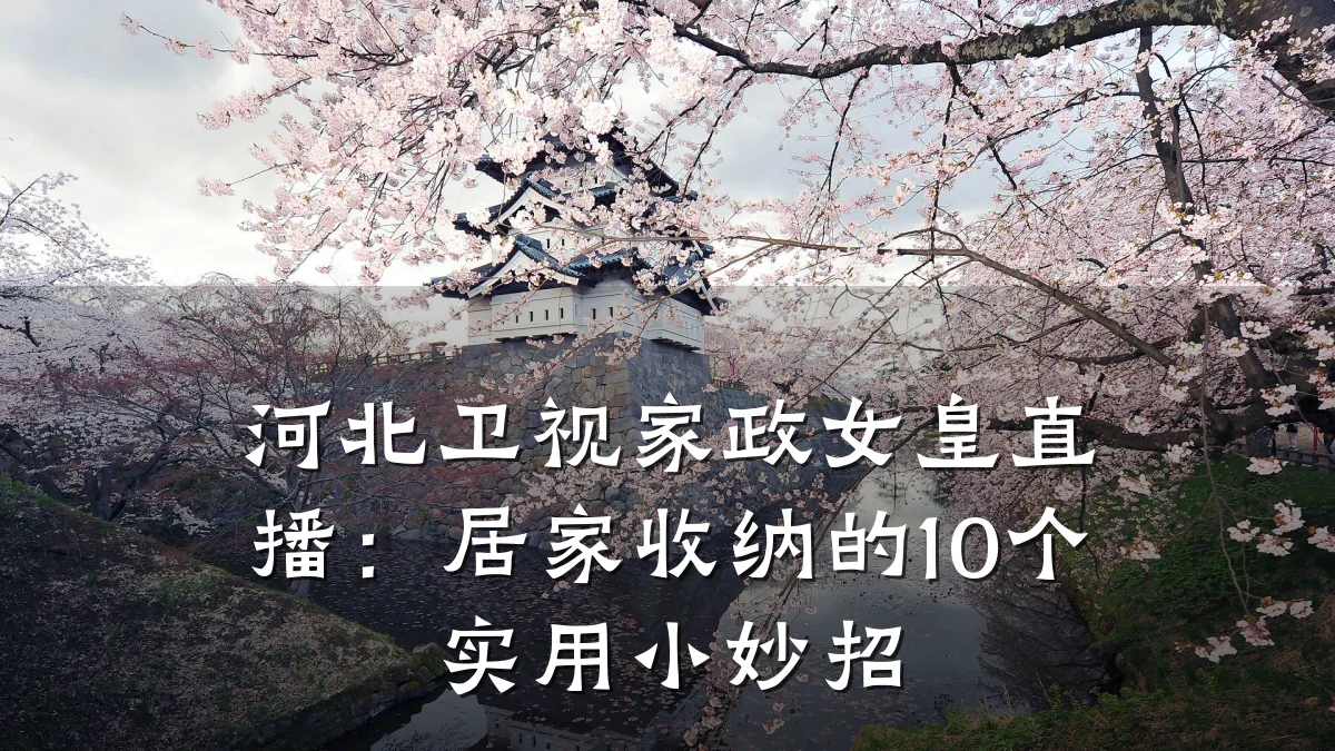 河北卫视家政女皇直播:居家收纳的10个实用小妙招