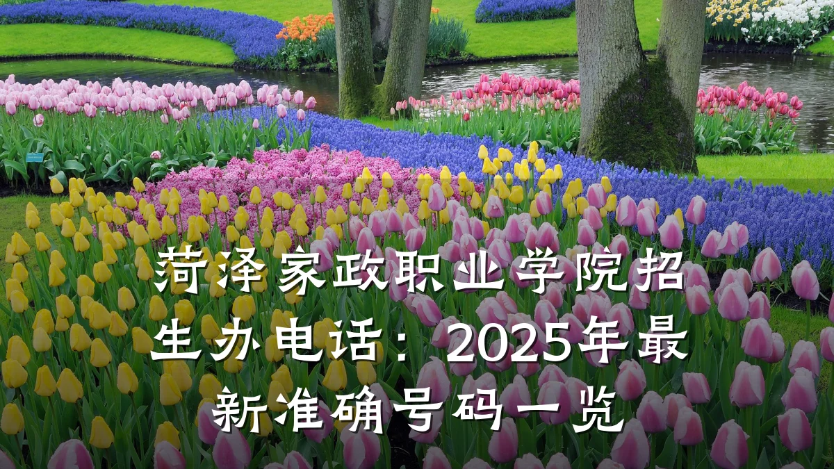 菏泽家政职业学院招生办电话:2025年最新准确号码一览