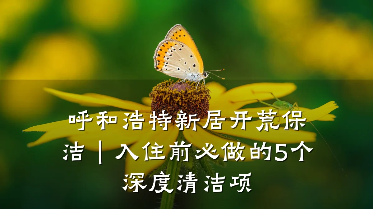 呼和浩特新居开荒保洁|入住前必做的5个深度清洁项