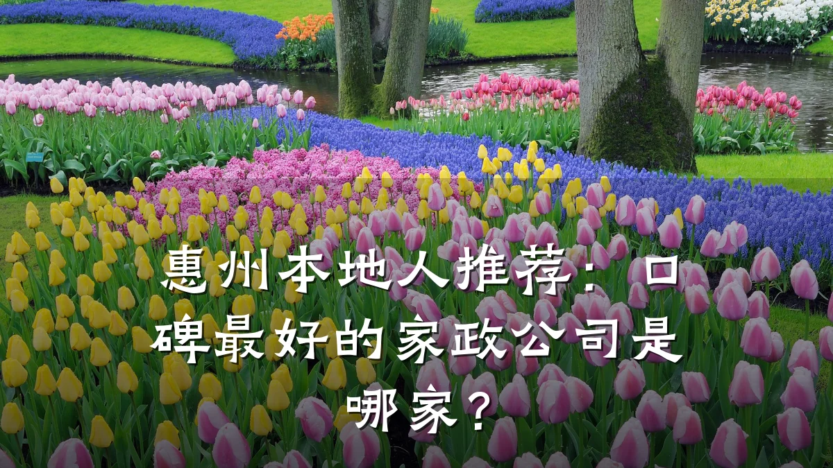 惠州本地人推荐:口碑最好的家政公司是哪家?