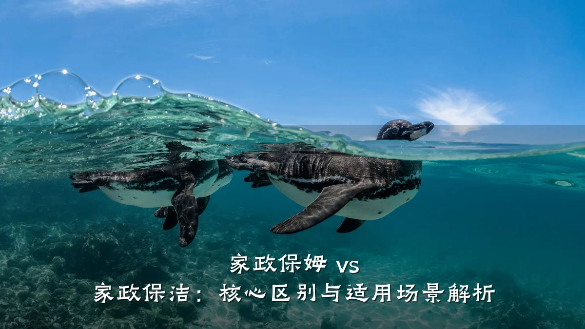 家政保姆 vs 家政保洁:核心区别与适用场景解析