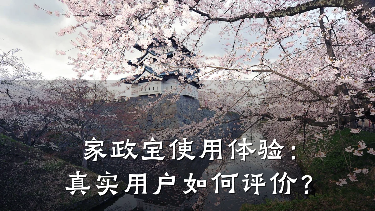 家政宝使用体验：真实用户如何评价？
