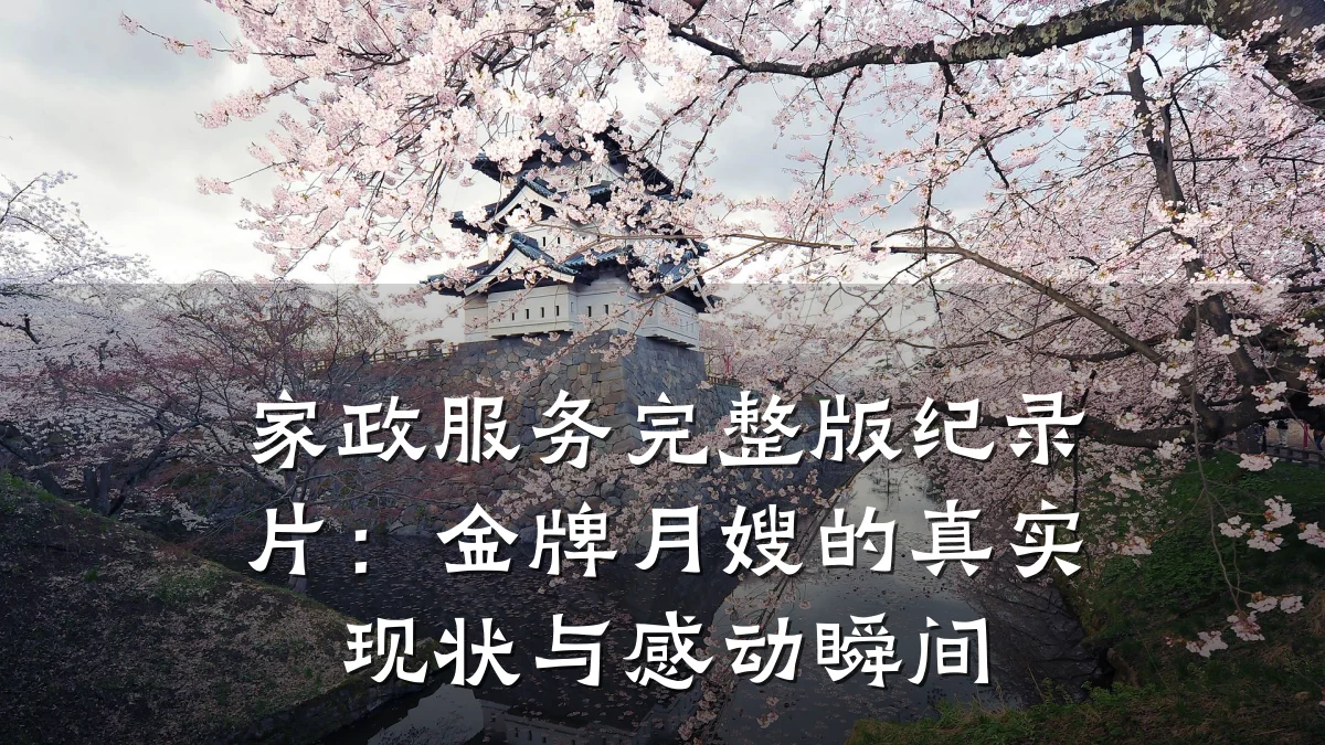 家政服务完整版纪录片:金牌月嫂的真实现状与感动瞬间