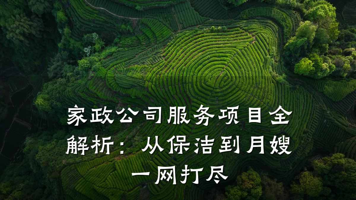 家政公司服务项目全解析:从保洁到月嫂一网打尽