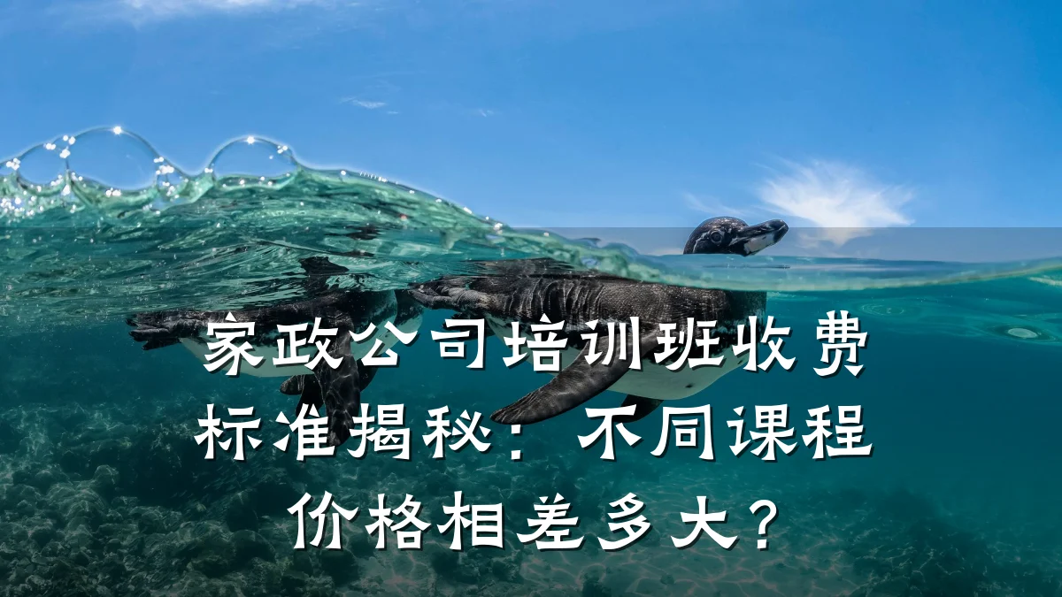 家政公司培训班收费标准揭秘：不同课程价格相差多大？