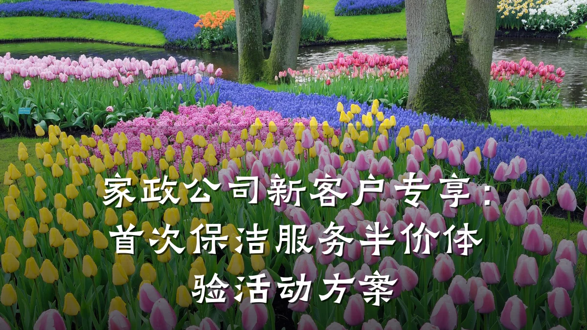 家政公司新客户专享:首次保洁服务半价体验活动方案
