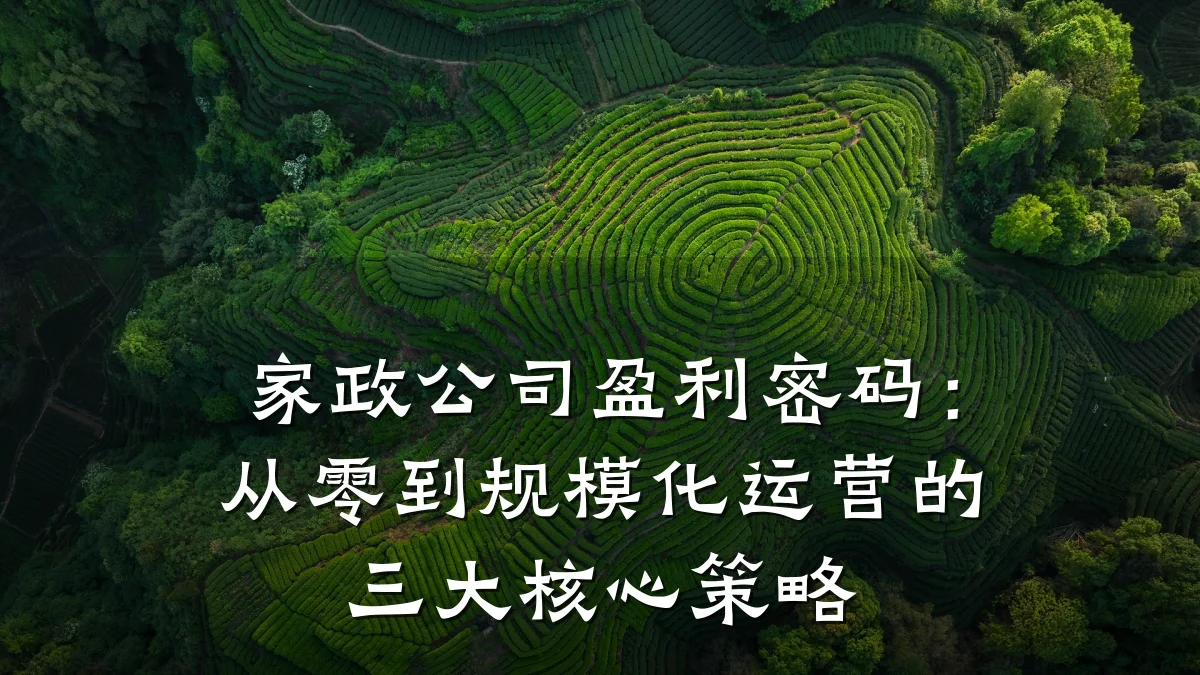 家政公司盈利密码:从零到规模化运营的三大核心策略