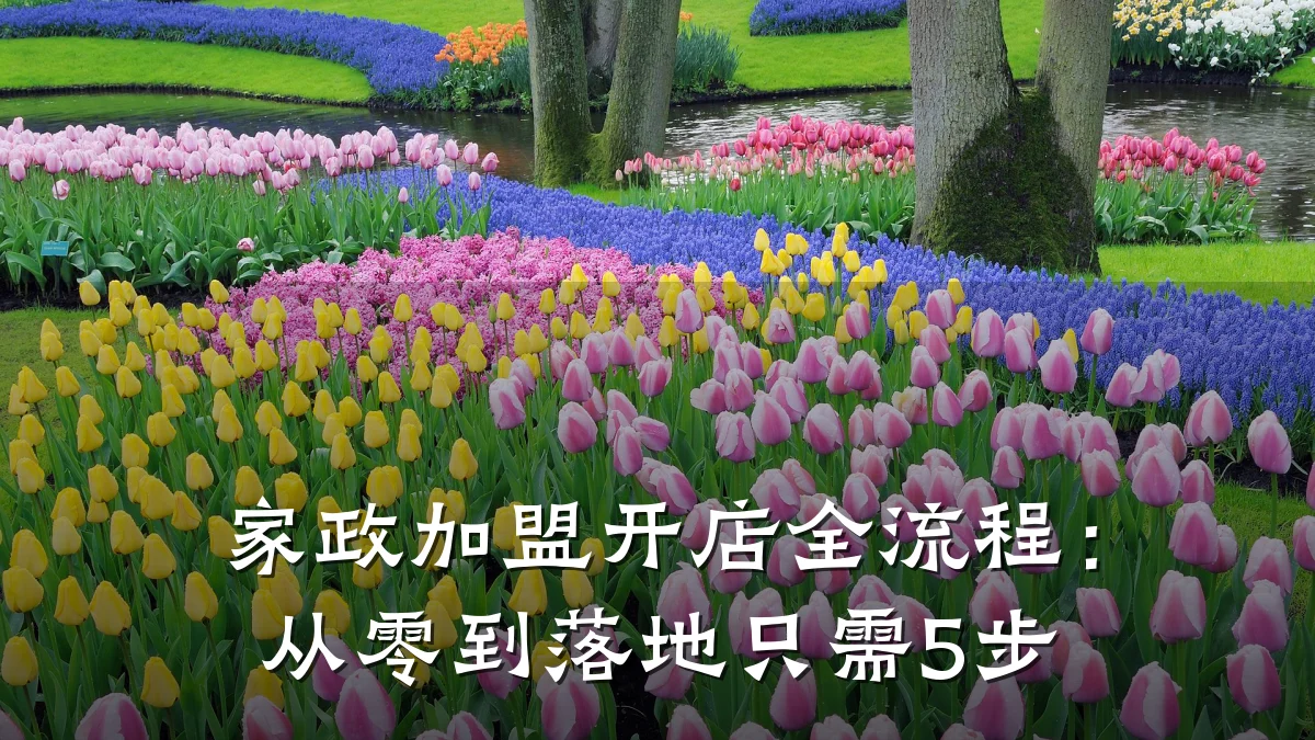 家政加盟开店全流程:从零到落地只需5步