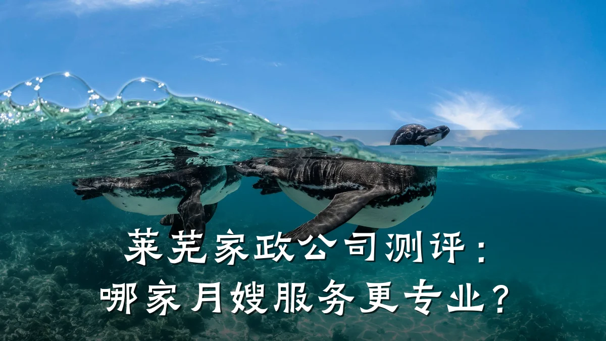 莱芜家政公司测评:哪家月嫂服务更专业?