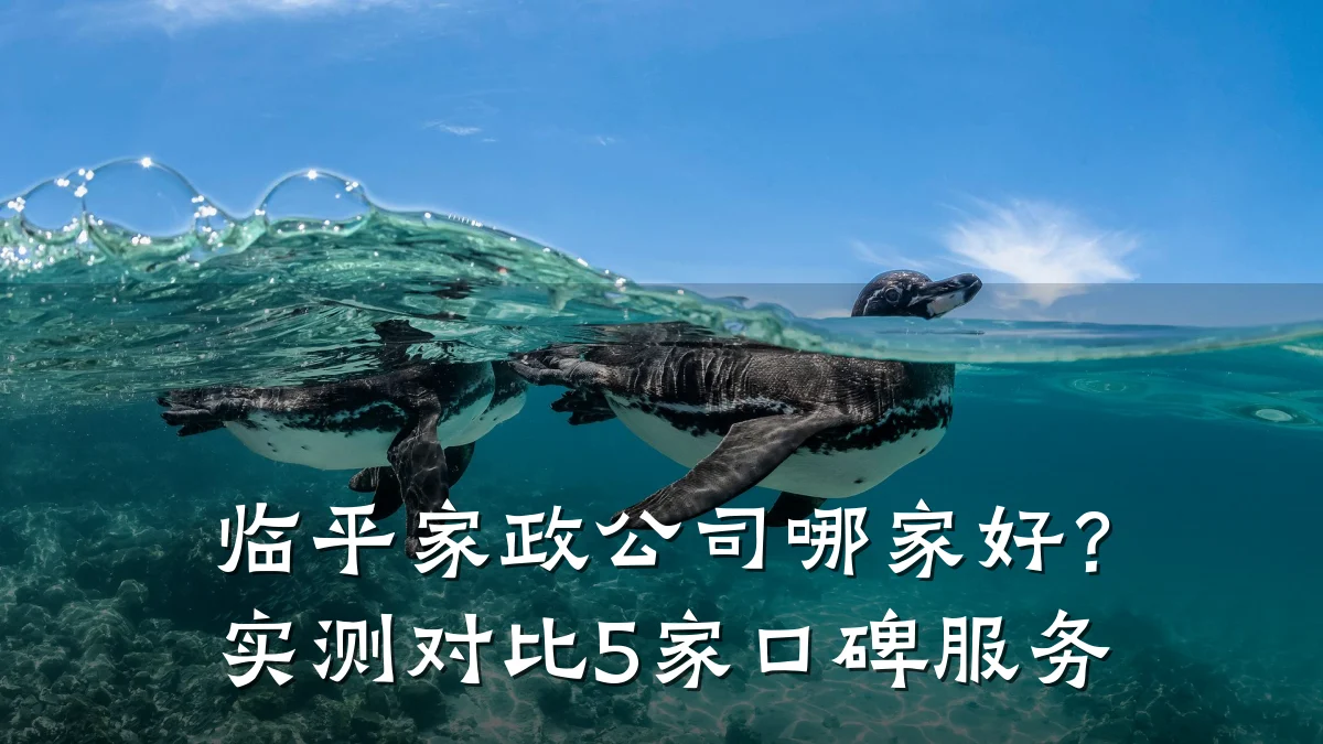临平家政公司哪家好?实测对比5家口碑服务