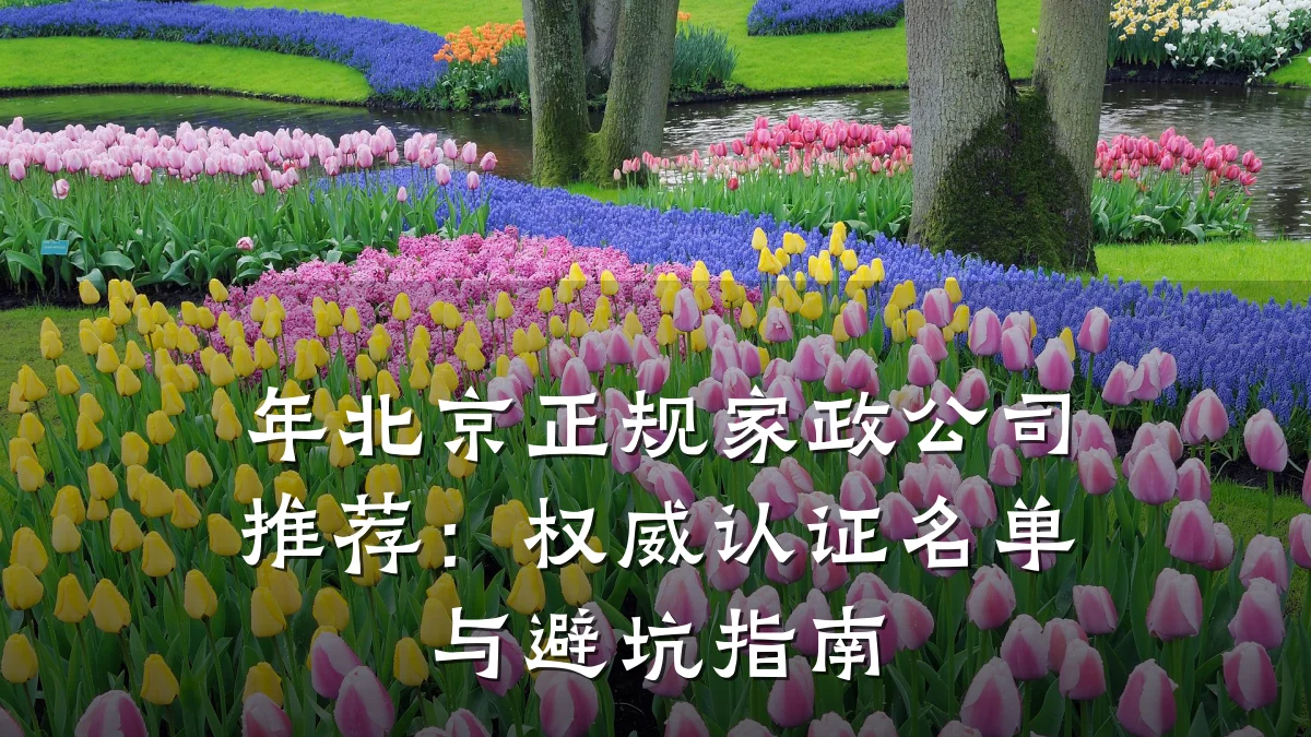 年北京正规家政公司推荐:权威认证名单与避坑指南