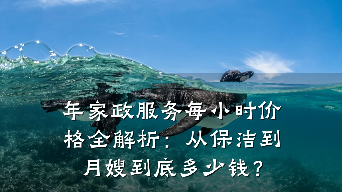 年家政服务每小时价格全解析:从保洁到月嫂到底多少钱?