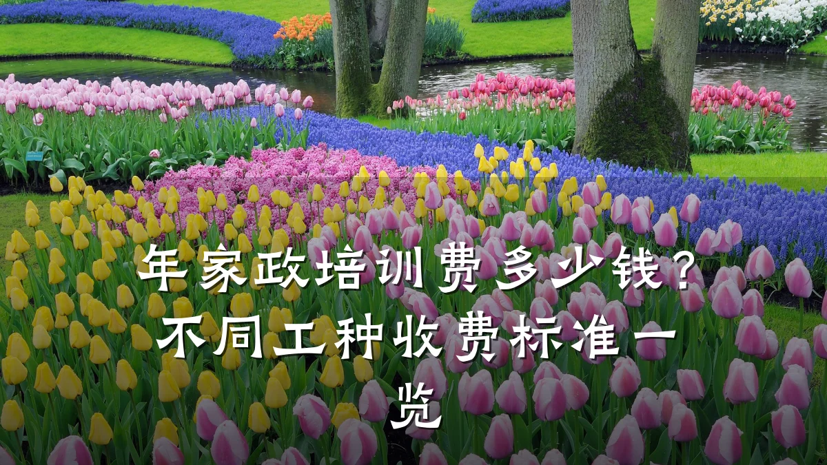 年家政培训费多少钱?不同工种收费标准一览