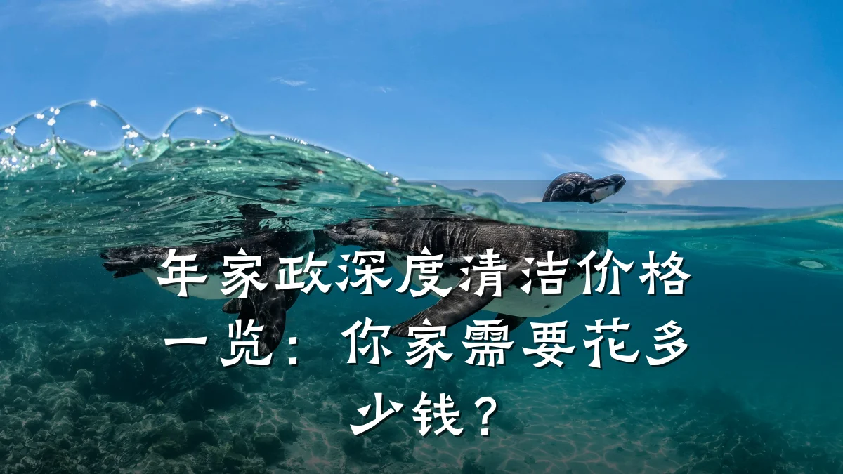 年家政深度清洁价格一览:你家需要花多少钱?