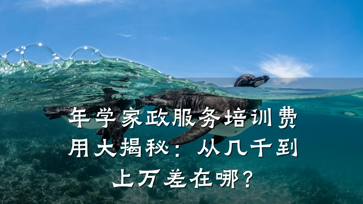 年学家政服务培训费用大揭秘:从几千到上万差在哪?