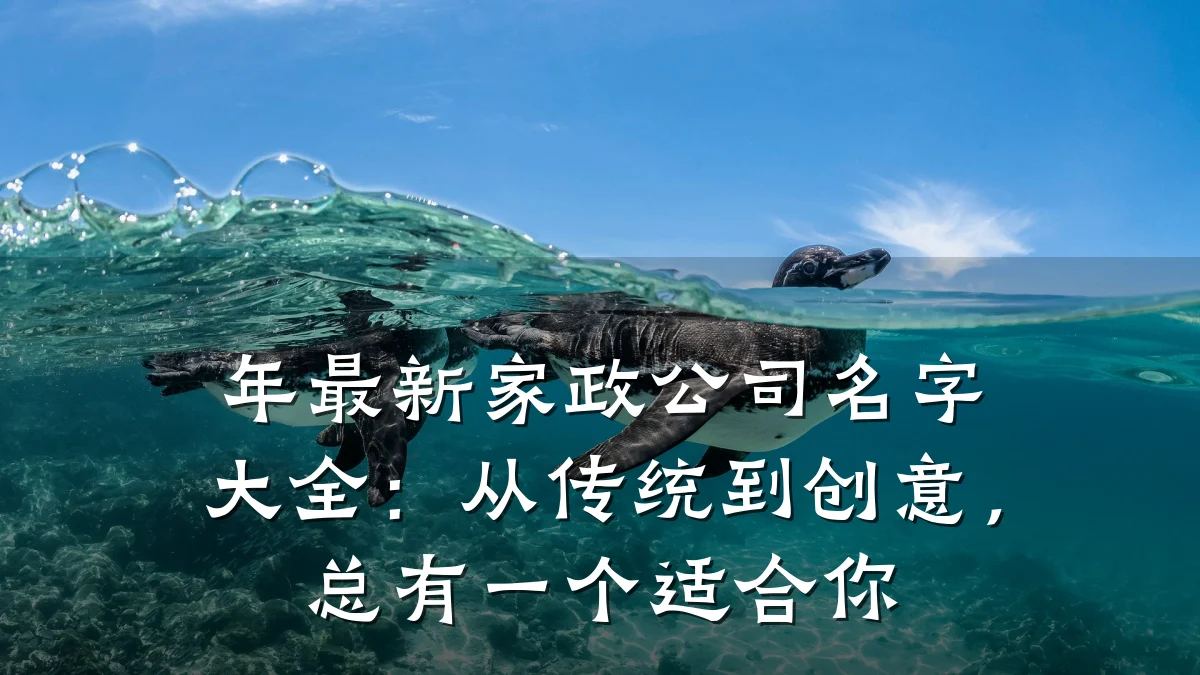 年最新家政公司名字大全:从传统到创意,总有一个适合你