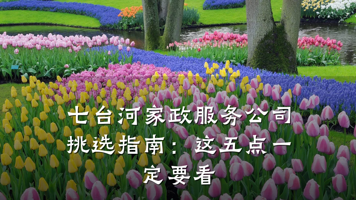 七台河家政服务公司挑选指南:这五点一定要看