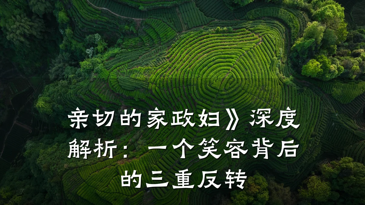 亲切的家政妇》深度解析:一个笑容背后的三重反转