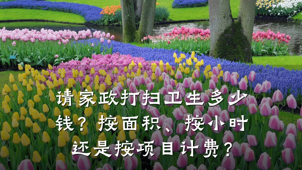 请家政打扫卫生多少钱?按面积、按小时还是按项目计费?