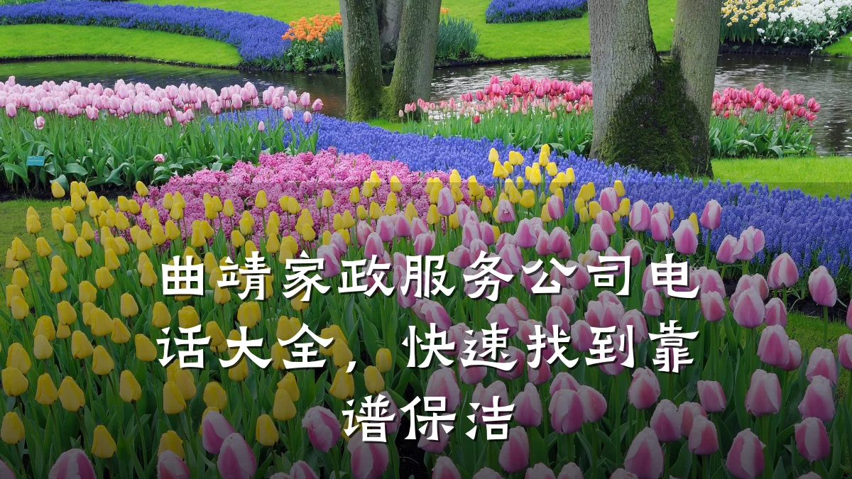 曲靖家政服务公司电话大全,快速找到靠谱保洁