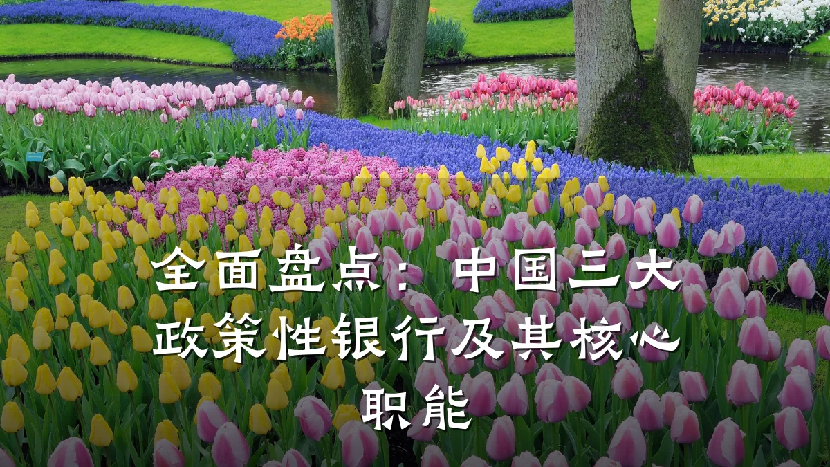 全面盘点:中国三大政策性银行及其核心职能