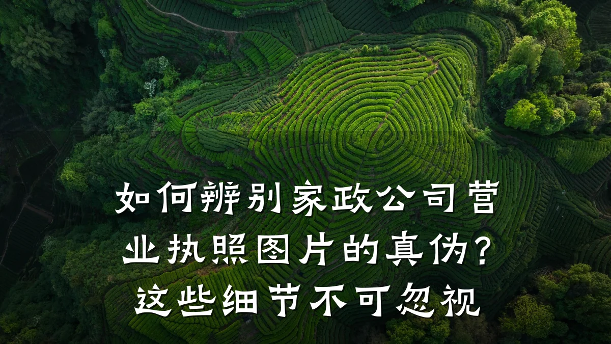 如何辨别家政公司营业执照图片的真伪?这些细节不可忽视
