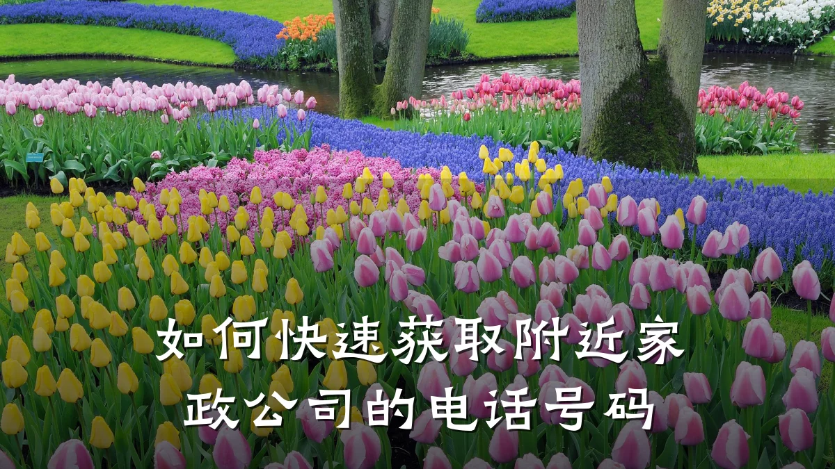 如何快速获取附近家政公司的电话号码