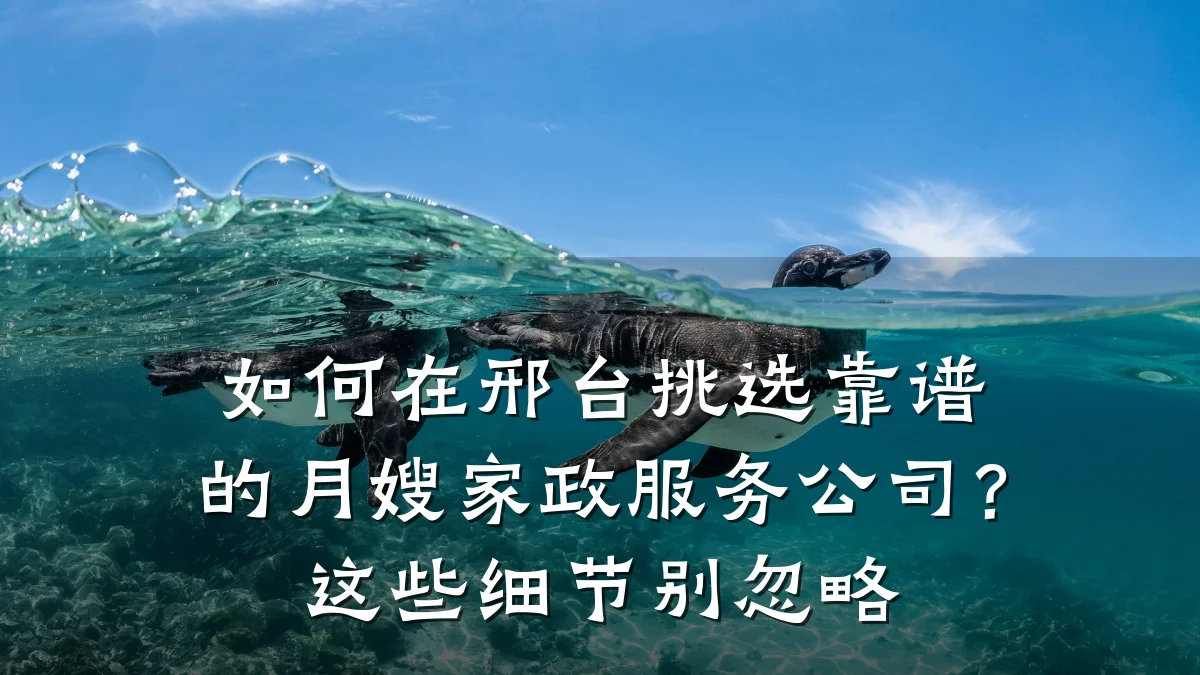 如何在邢台挑选靠谱的月嫂家政服务公司?这些细节别忽略