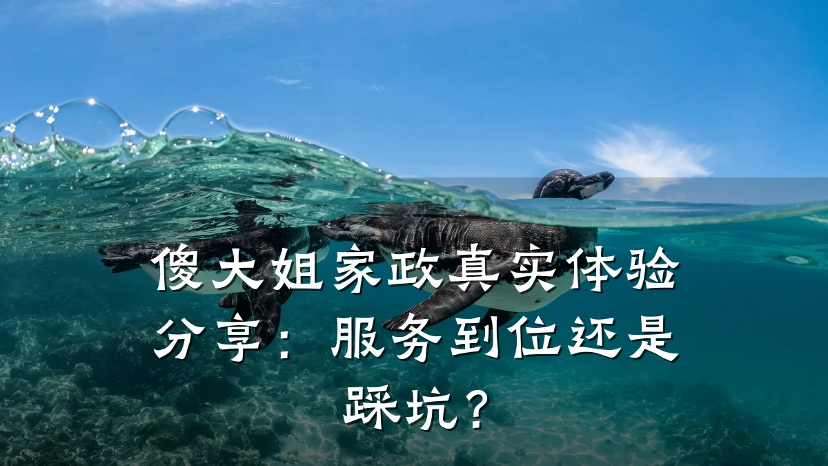 傻大姐家政真实体验分享：服务到位还是踩坑？